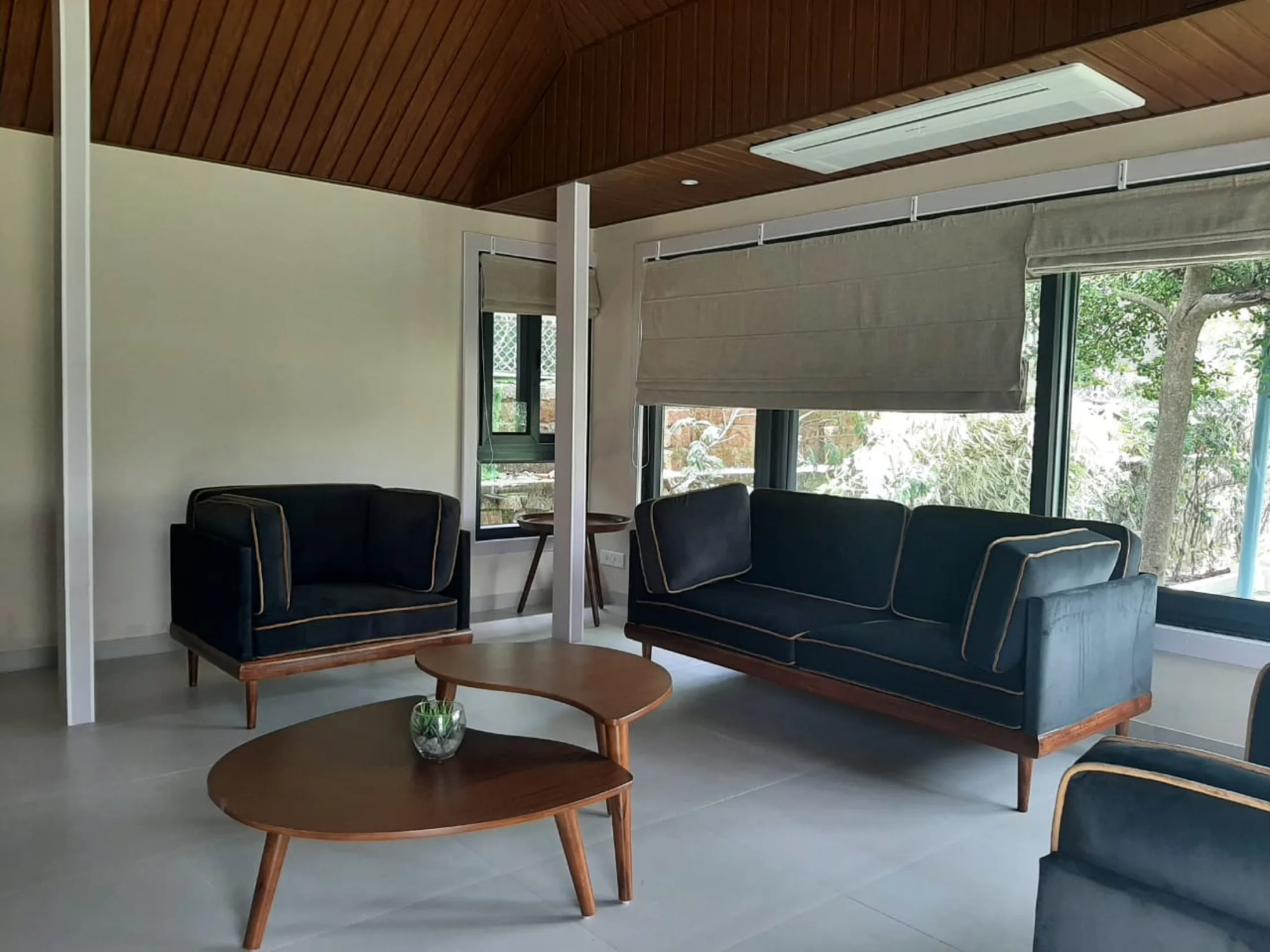 Dr. Sanjay D Patil Luxurious Farmhouse - Hall